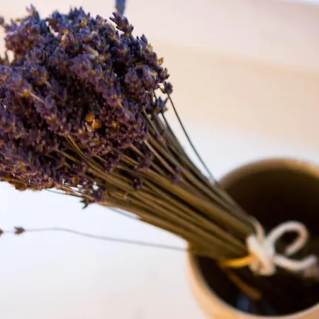 Ivanita * Bratislava