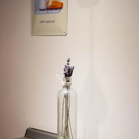 Ivanita Апартаменты *